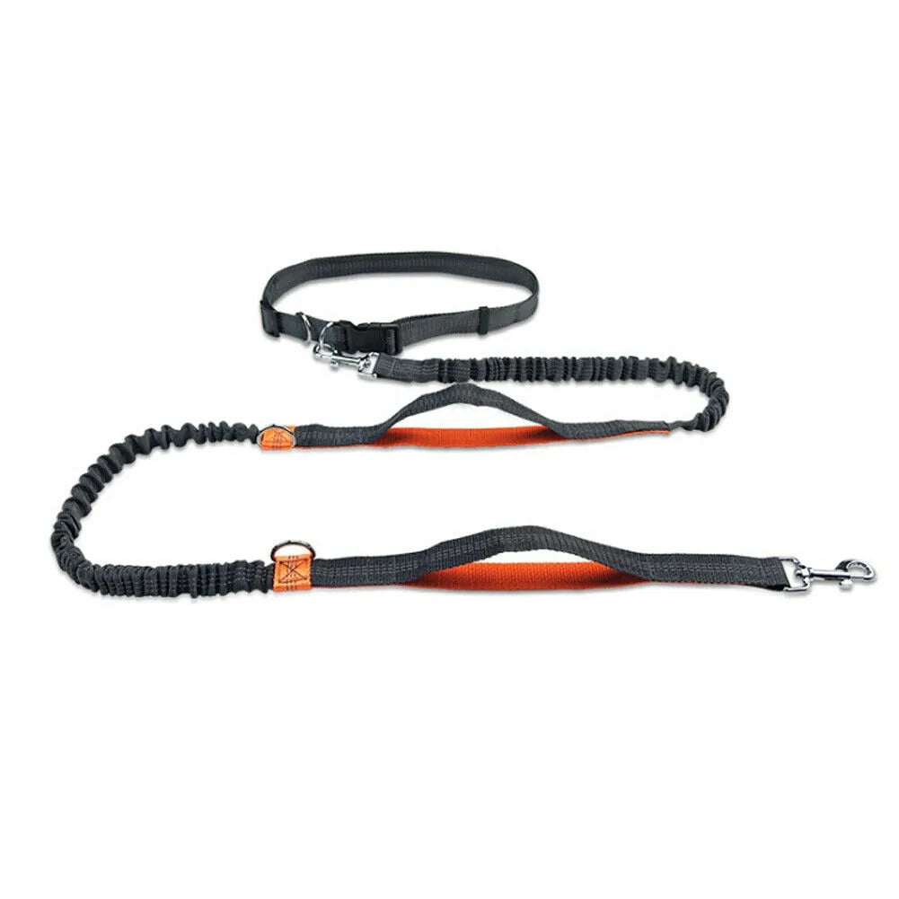 ShineLine Leash