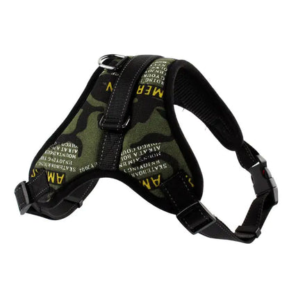 Walking Harness