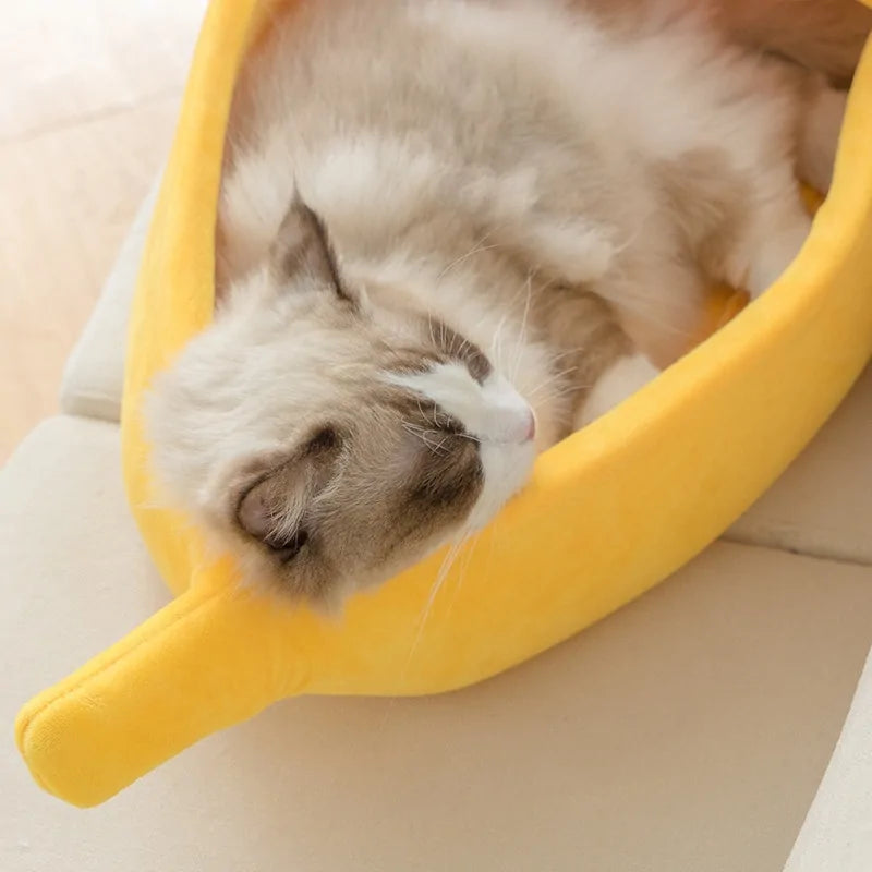 PawNana Bed