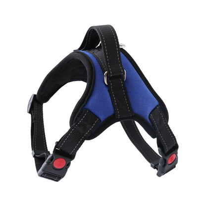 Walking Harness