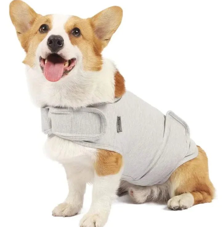 Comfort Vest