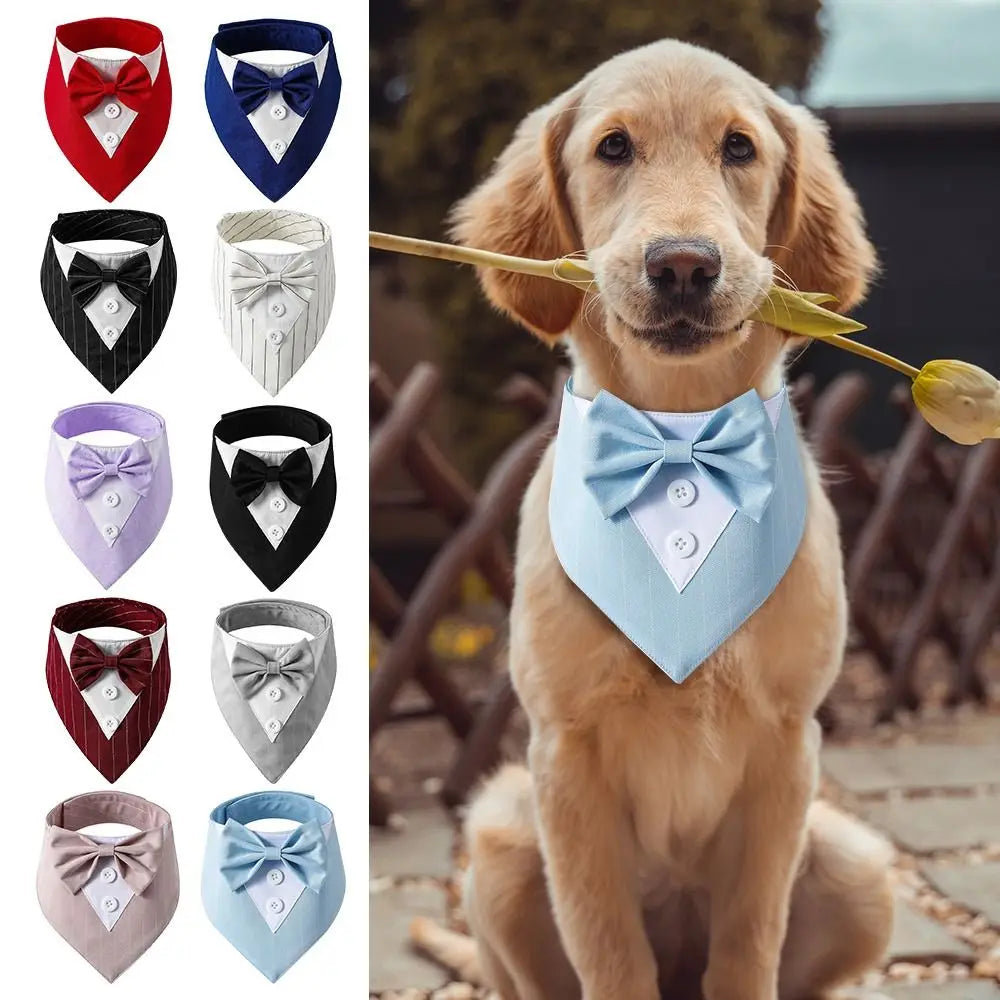 The Gentleman Pup Tie