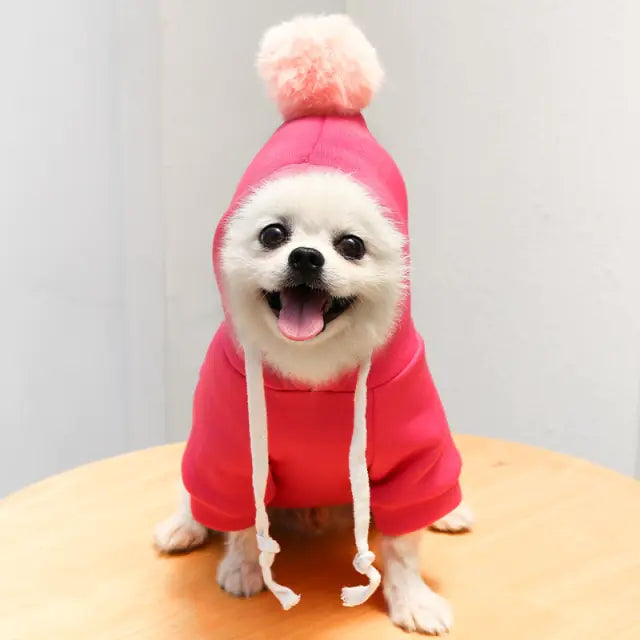 The Cozy Crop Hoodie