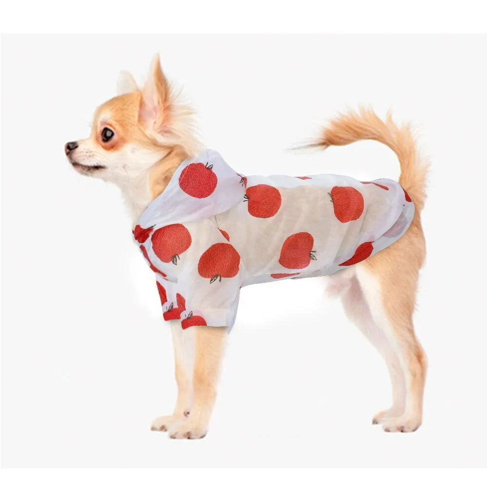 Small Dog Raincoat