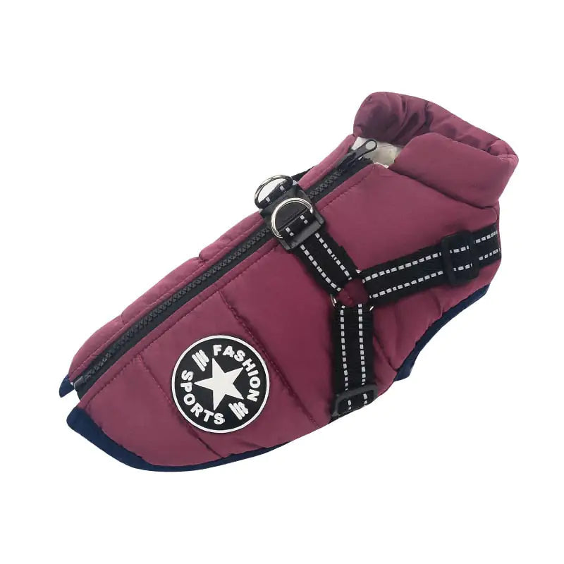 SnowPaw Explorer Jacket