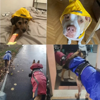 Dog Raincoat