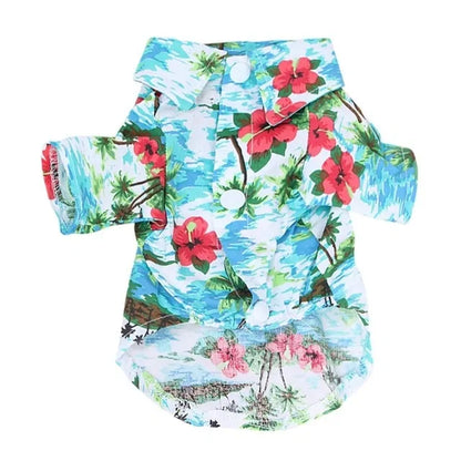 Summer Printed Clothes