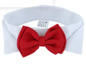 Bow Tie Collar