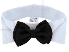 Bow Tie Collar