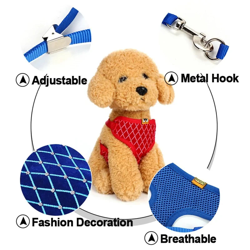 CrystalPup Leash Set