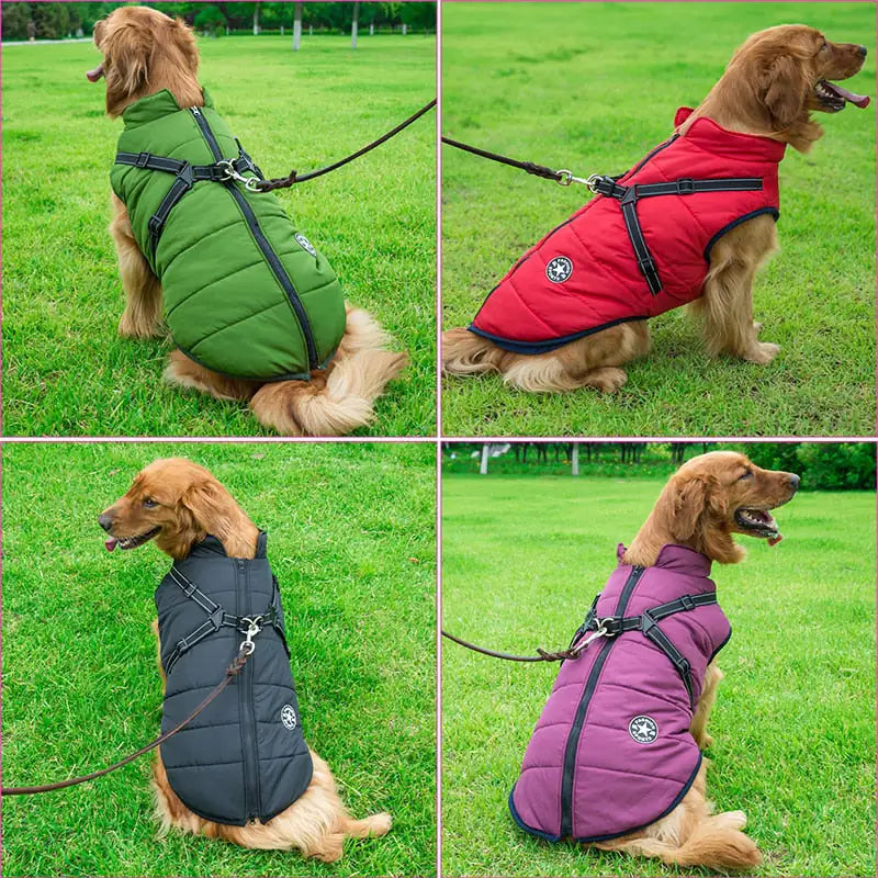 SnowPaw Explorer Jacket