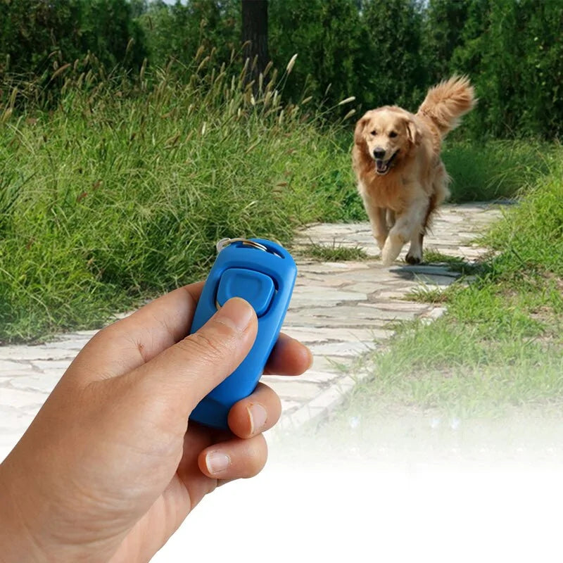 PawCommand