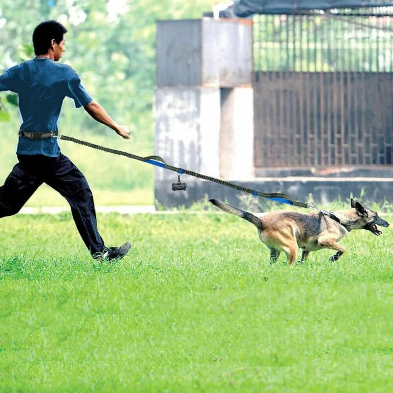 ShineLine Leash