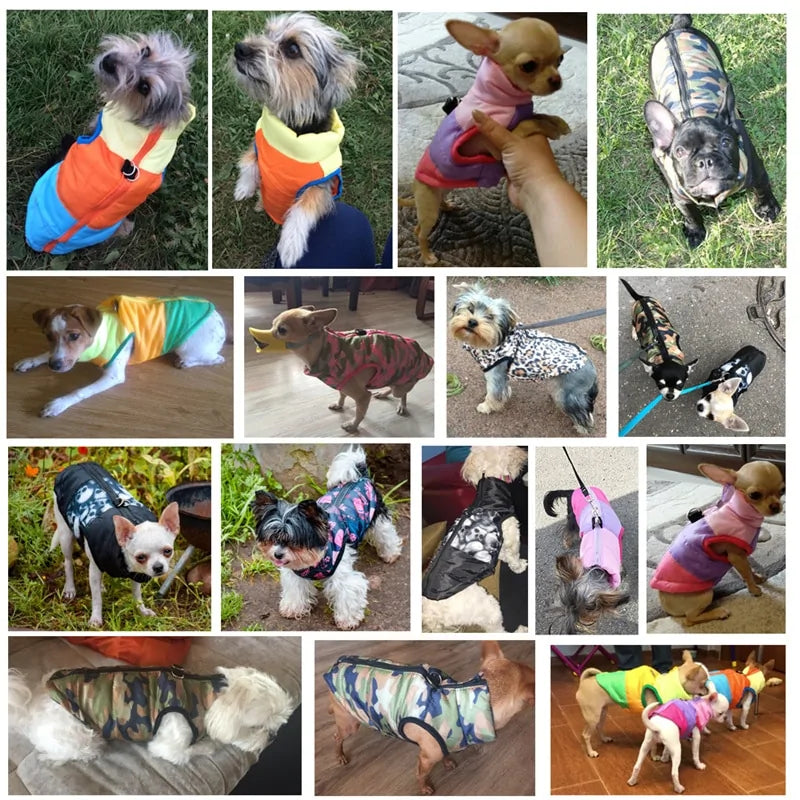 The Ruff Weather Jacket