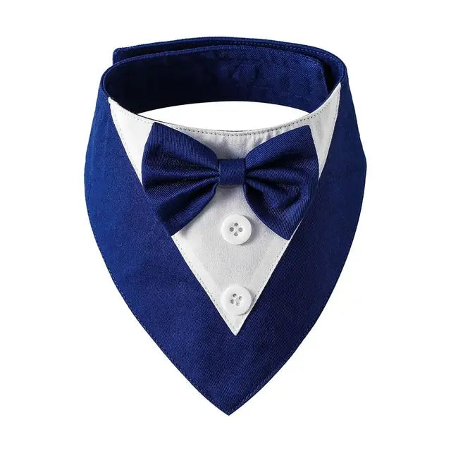 The Gentleman Pup Tie