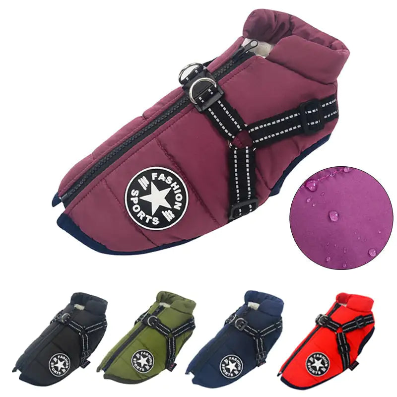 SnowPaw Explorer Jacket