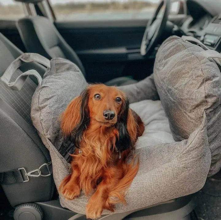 PawJourney Bed