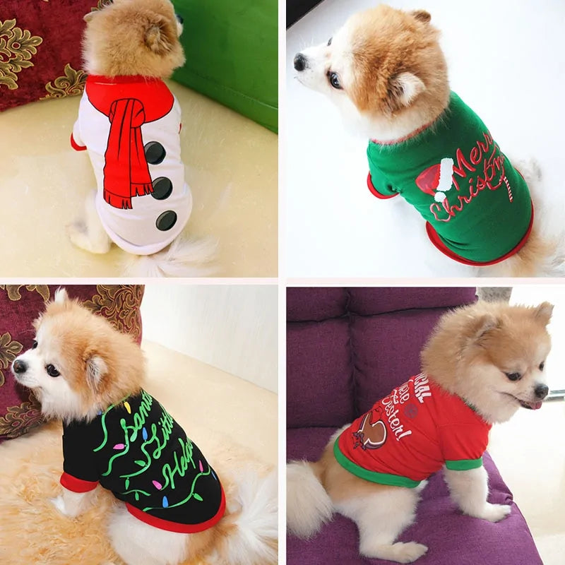 Pawliday Threads