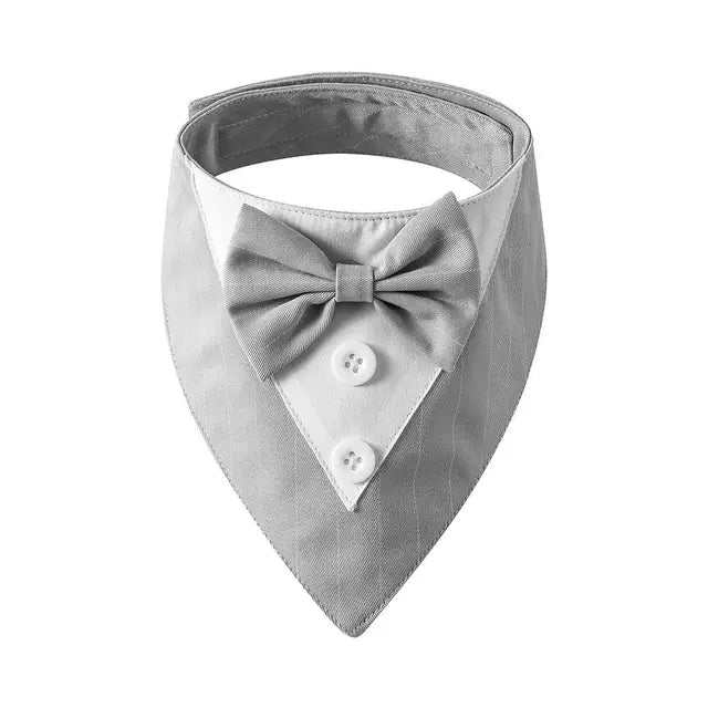The Gentleman Pup Tie