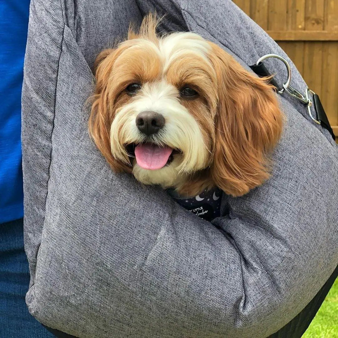 PawJourney Bed