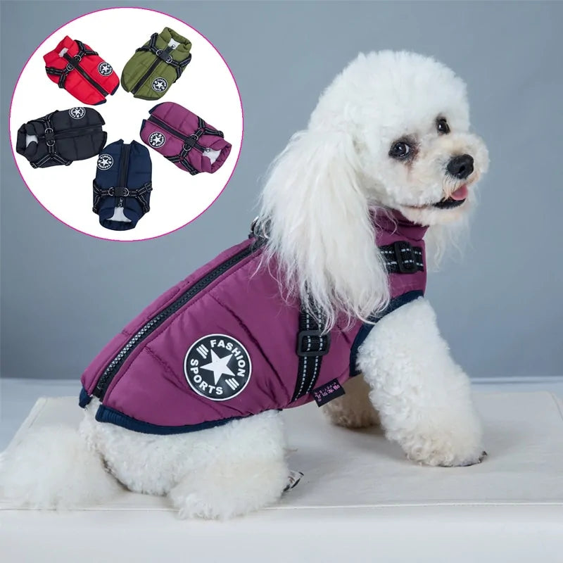 PawshWear