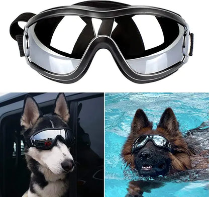 Goggles