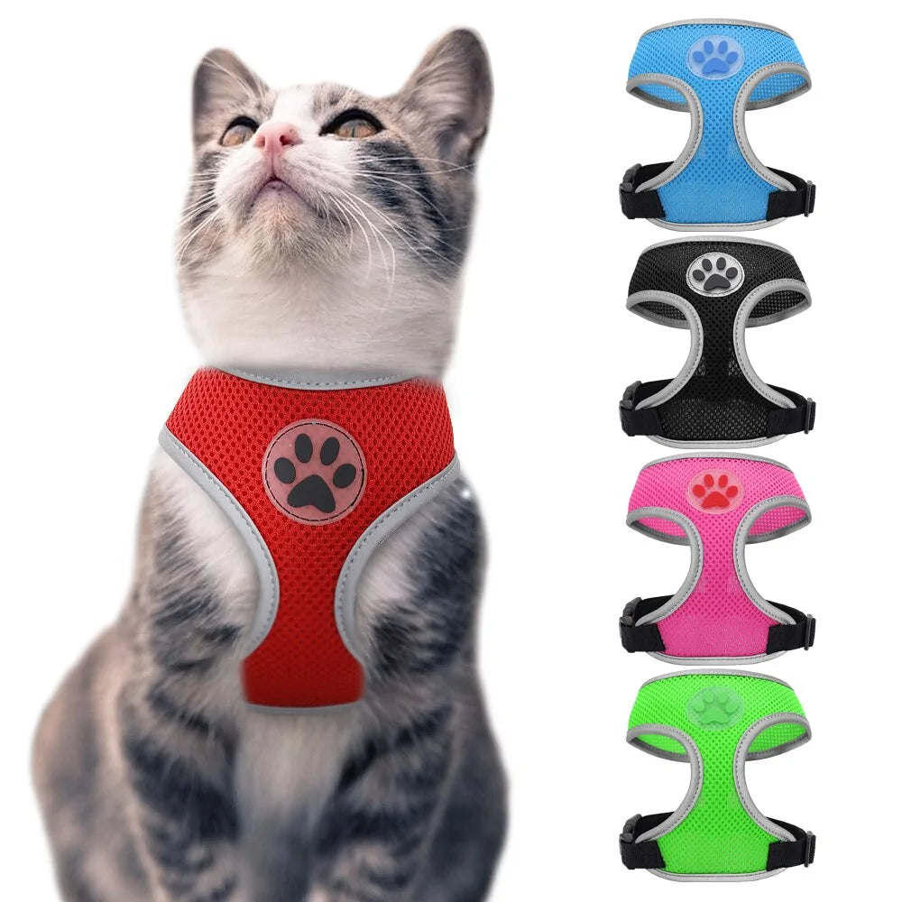FlexiPaw Harness