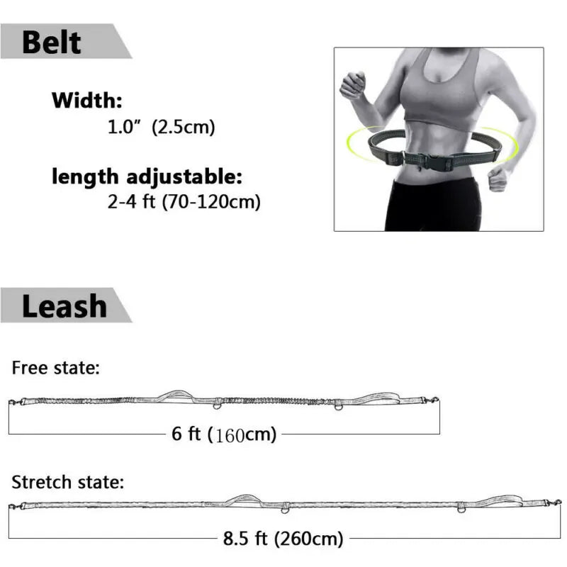 ShineLine Leash