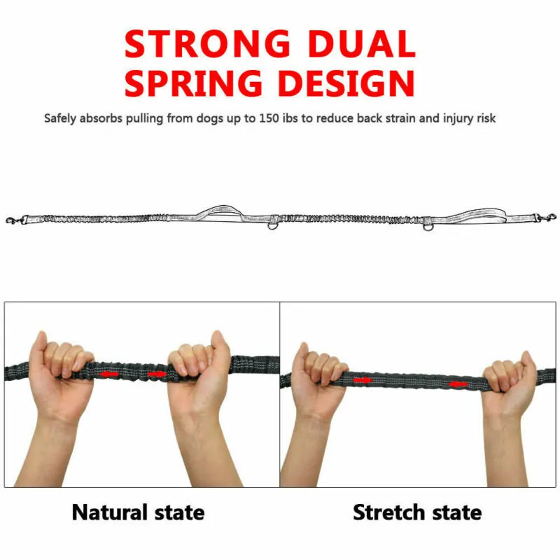 ShineLine Leash