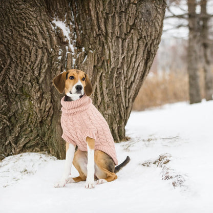 Snuggly Chalet Sweater