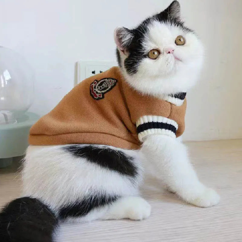 Cozy Paws Pullover