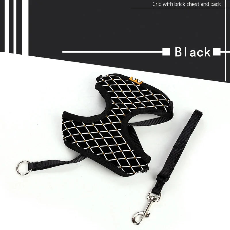 CrystalPup Leash Set