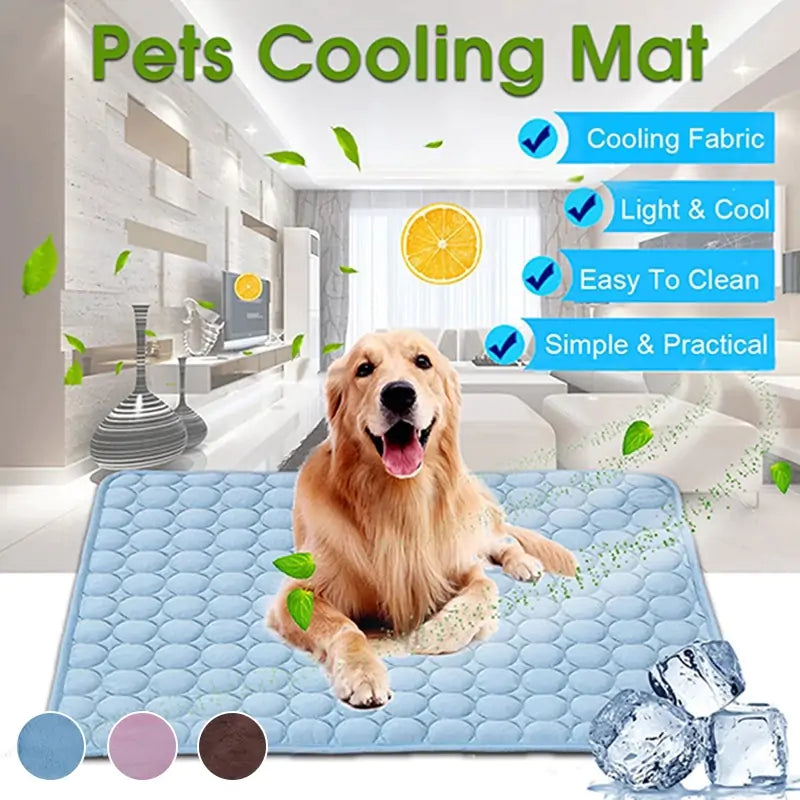 PawBreeze Blanket
