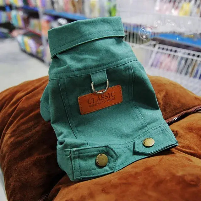 Little Bark & Co. Spring Suit