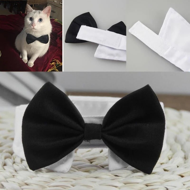 Bow Tie Collar