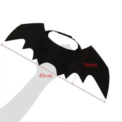 Bat Wing Costume