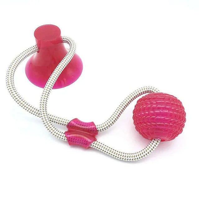 PawHold Toy