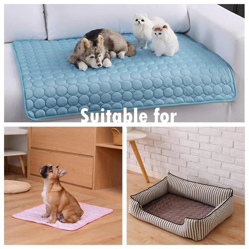 PawBreeze Blanket