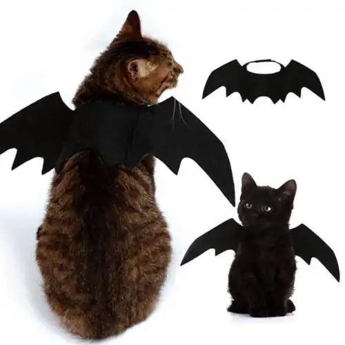 Purrfect Bat Wings