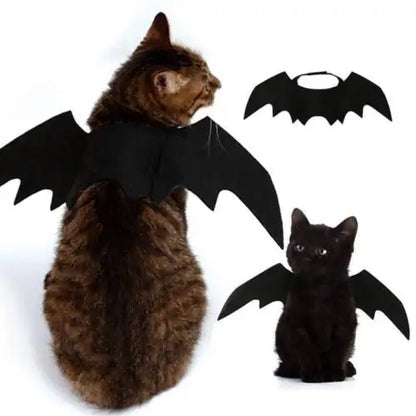 Bat Wing Costume