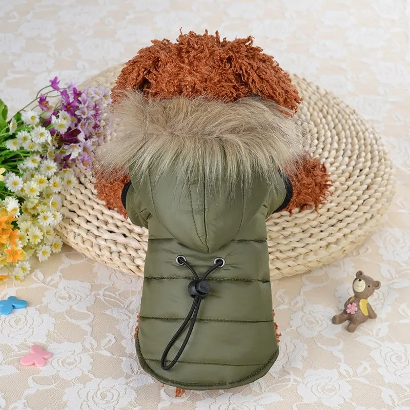 Fashionable Hooded Jacket