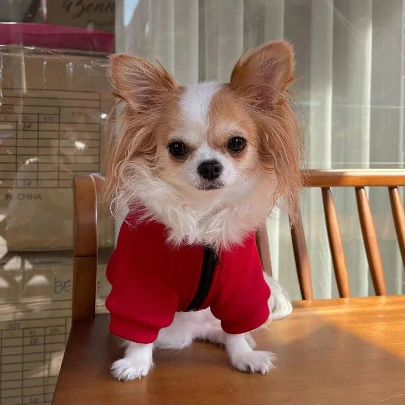 Squid Pup Uniform