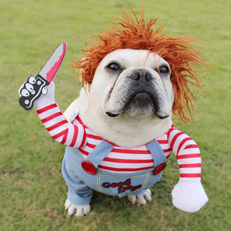 The Chucky Pup Scare