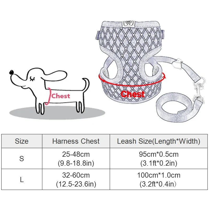 CrystalPup Leash Set