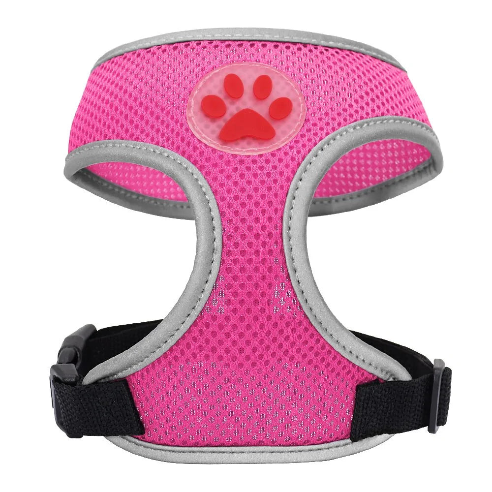 FlexiPaw Harness