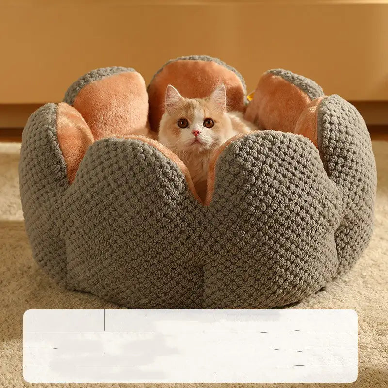 Pawtus Nest