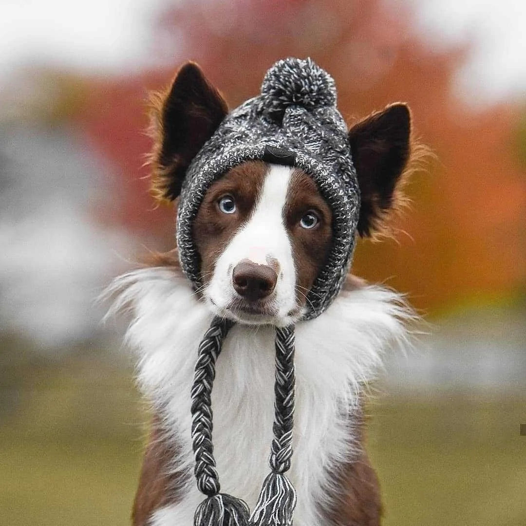 Winter beanie hat