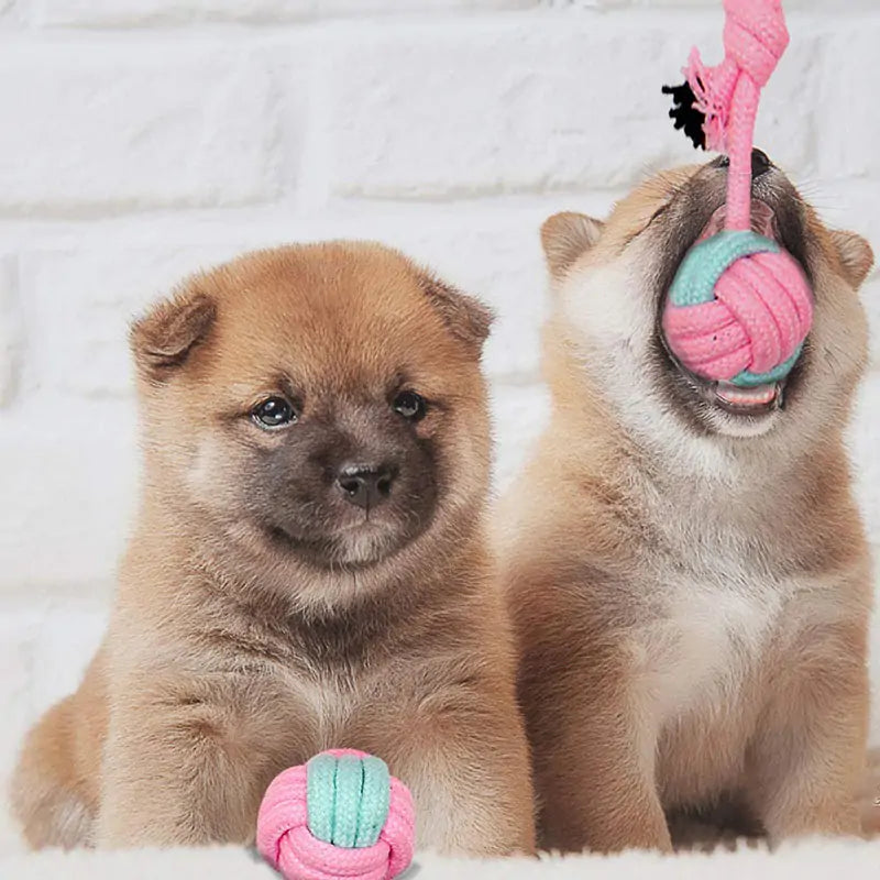 Pawball