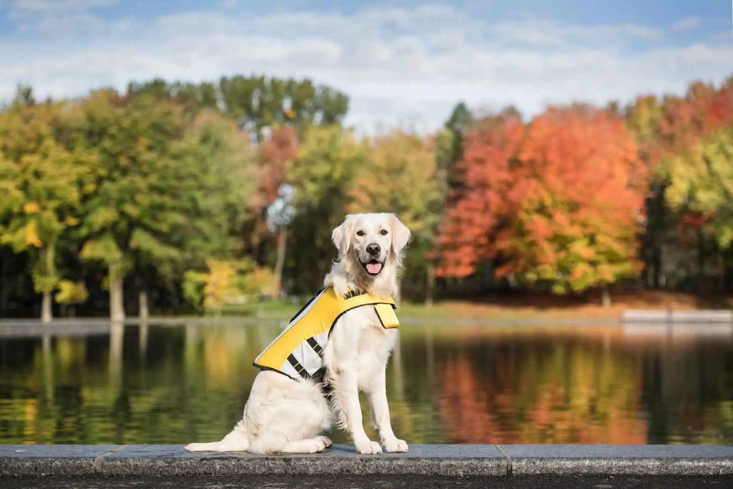 Life Vest Jacket