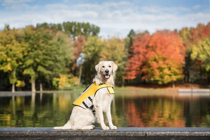 Life Vest Jacket